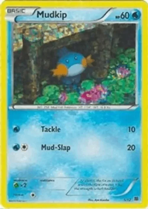 Mudkip