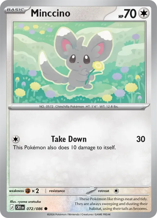 Minccino