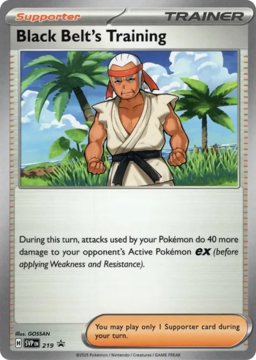 Black Belt's Training