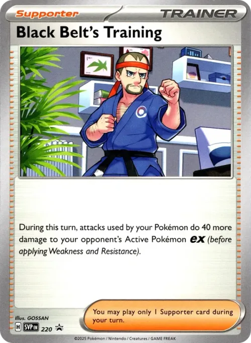 Black Belt's Training